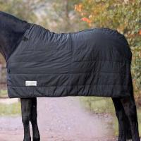 IMBOTTITURA INTERNA 100G COPERTA DA PADDOCK WALDHAUSEN