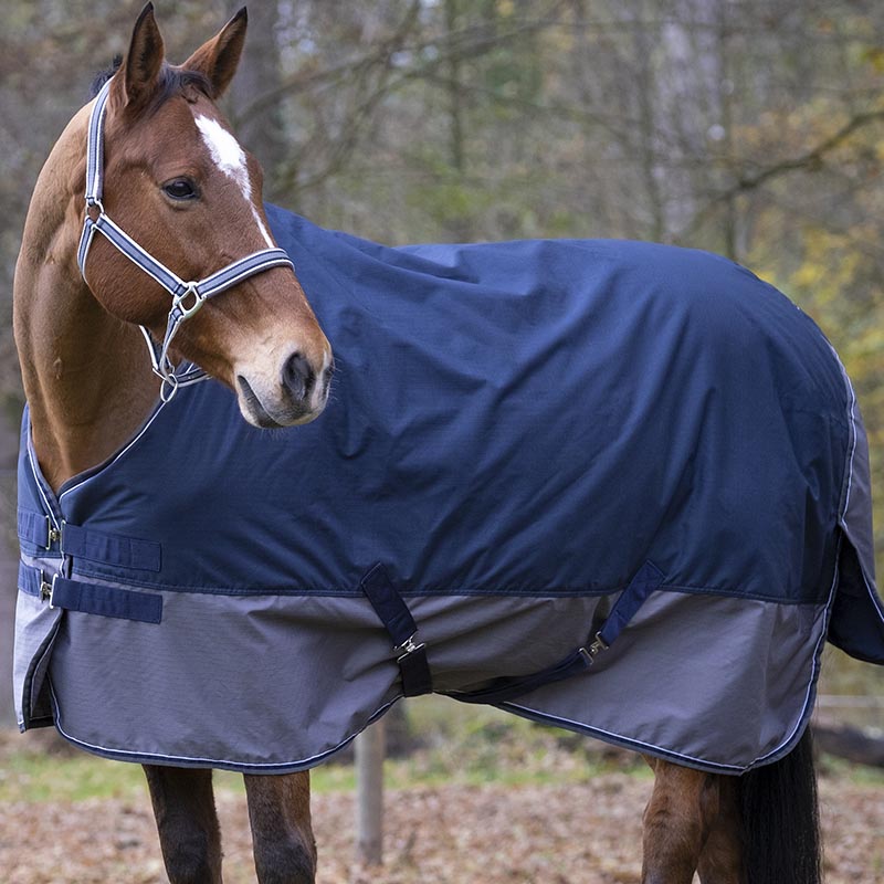 Come scegliere una coperta per cavallo
