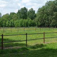 HIPPO SAFETY FENCE BANDA INNOVATIVA PER RECINZIONE